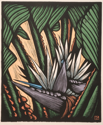 Bird of Paradise