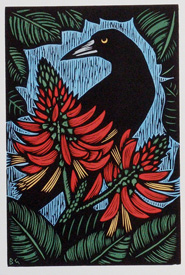 Currawong and Banana