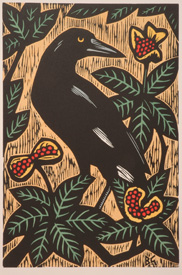 Currawong and Red Berries