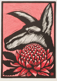 Kangaroo and Telopea