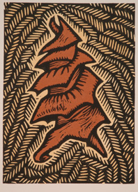 Port Jackson Shark Egg